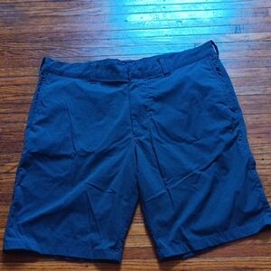 J. Crew Blue Flat Front Shorts